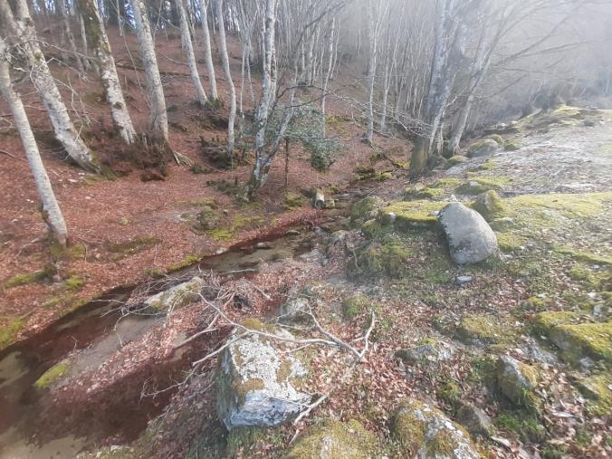 images Davoli, impietriti dalla maestosa Pietra di Sant'Antonino e specchiati nel laghetto Orchidea