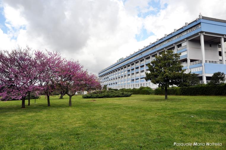 Sarà attivato il servizio di accoglienza e reception nei presidi ospedalieri di Lamezia, Soveria Mannelli e Soverato images Sarà attivato il servizio di accoglienza e reception nei presidi ospedalieri di Lamezia, Soveria Mannelli e Soverato