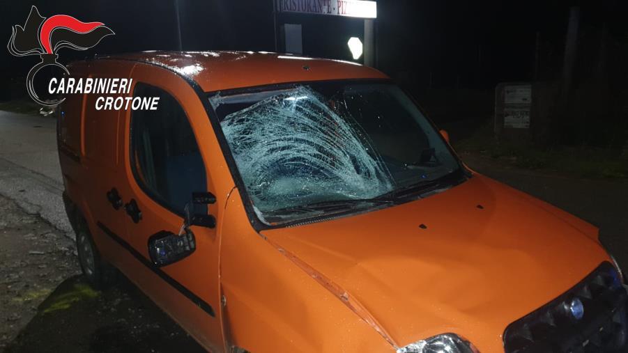 Crotone, bimba ucraina investita e uccisa: arrestato il 18enne alla guida del veicolo images Crotone, bimba ucraina investita e uccisa: arrestato il 18enne alla guida del veicolo