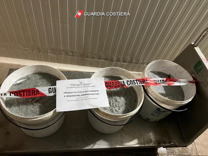 images Sequestrati dalla Guardia Costiera 70 kg di prodotto ittico nella sibaritide