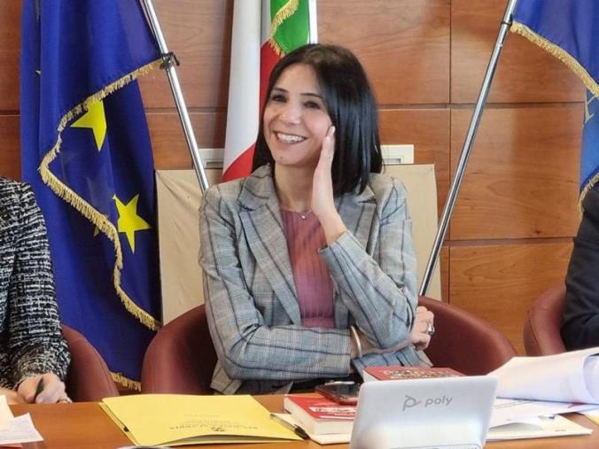 images Oggi l'accensione dell'albero di Natale dei calabresi alla Cittadella (I DETTAGLI DEL PROGETTO) 