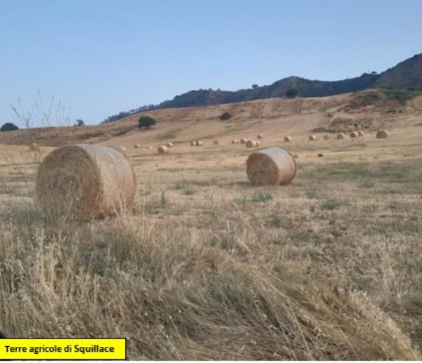 images Economia del territorio, Squillace tra i comuni eccellenti nel progetto "Sibater"