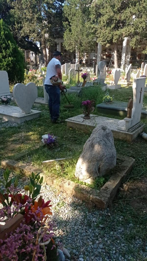 images Catanzaro, puliti e bonificati i 4 cimiteri comunali  
