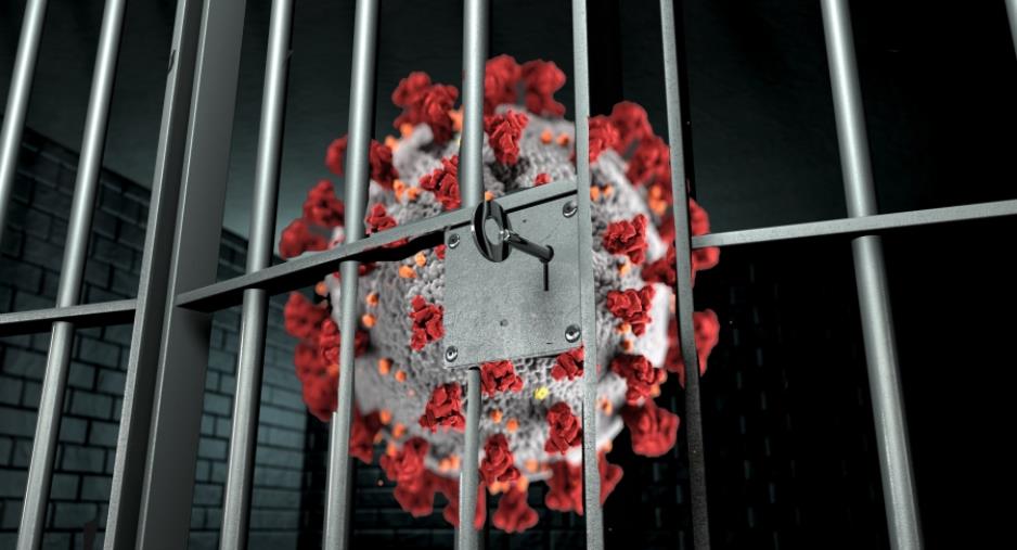 images Focolaio Covid nella Casa Circondariale di Crotone, Ferraro: "Previsti monitoraggi pluriquotidiani, domani urgente colloquio digitale la popolazione detenuta"