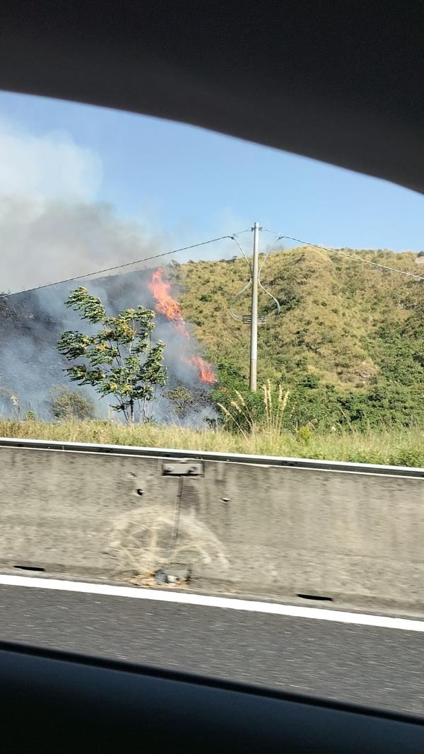 Catanzaro, brucia la città: fuoco nei pressi della galleria del Sansinato images Catanzaro, brucia la città: fuoco nei pressi della galleria del Sansinato
