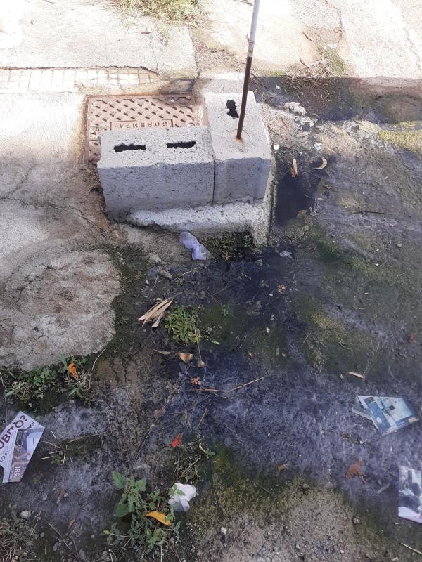 A Catanzaro in via Latina, nel quartiere Fortuna, scorre una fogna a cielo aperto: il disagio dei residenti images A Catanzaro in via Latina, nel quartiere Fortuna, scorre una fogna a cielo aperto: il disagio dei residenti