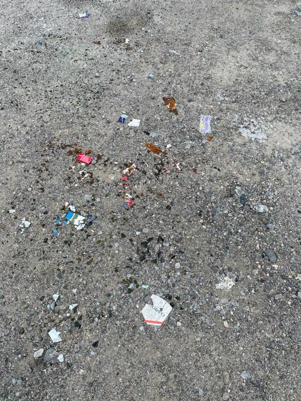 Catanzaro, il grido d'aiuto dei residenti del quartiere Fortuna. "Troppo degrado" images Catanzaro, il grido d'aiuto dei residenti del quartiere Fortuna. "Troppo degrado"