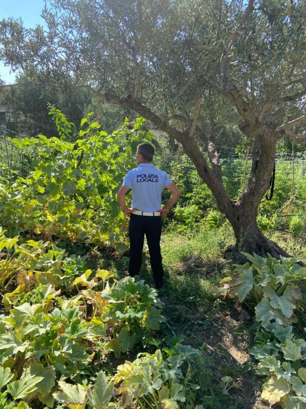 Catanzaro, nuovi sequestri della polizia locale contro gli allacci abusivi alla rete idrica images Catanzaro, nuovi sequestri della polizia locale contro gli allacci abusivi alla rete idrica