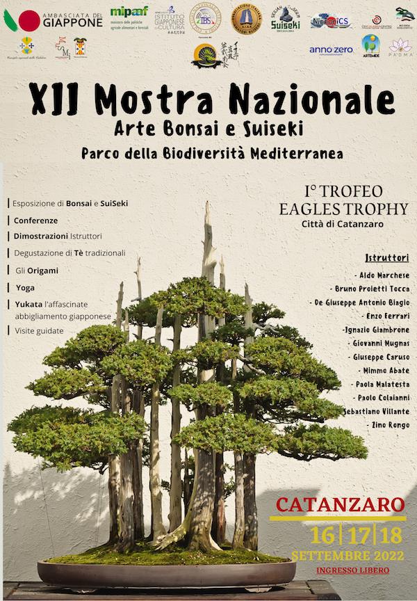 images Catanzaro capitale del Bonsai e suiseki alla mostra nazionale al Parco della biodiversità