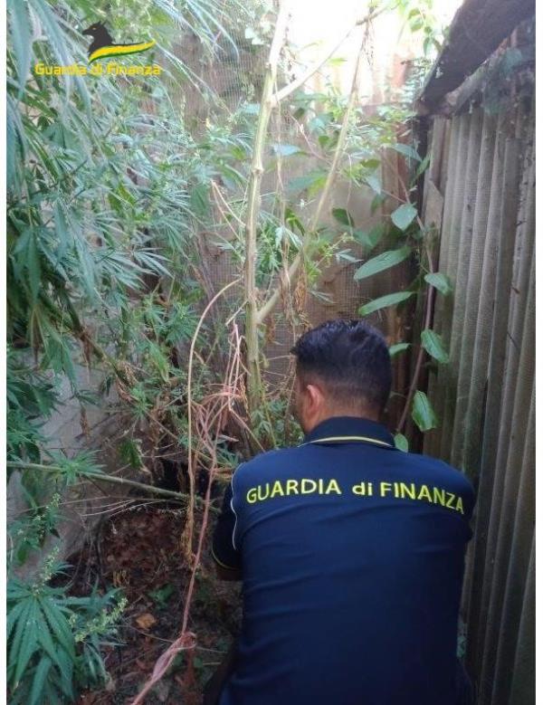 images Droga in un casolare, un arresto a Nicotera 