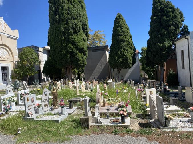 Nel cimitero di Catanzaro tombe "affogate" dall'erba e c'è chi si fa le pulizie da solo  images Nel cimitero di Catanzaro tombe "affogate" dall'erba e c'è chi si fa le pulizie da solo
