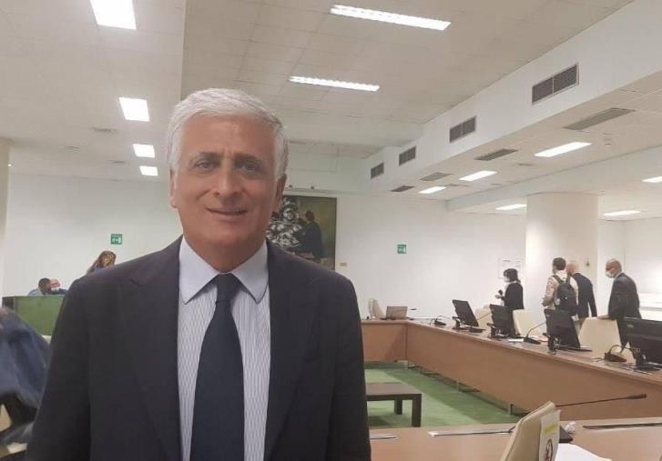 images Temesa, Tar rigetta il ricorso contro il referendum: decideranno i cittadini 