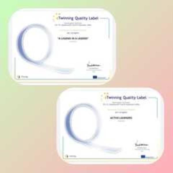 I.C. Casalinuovo Catanzaro Sud, due progetti ottengono il Quality Label Nazionale images I.C. Casalinuovo Catanzaro Sud, due progetti ottengono il Quality Label Nazionale