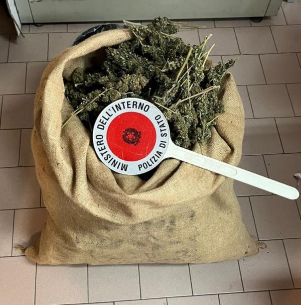 images Droga negli zaini a scuola: studenti denunciati a Cosenza