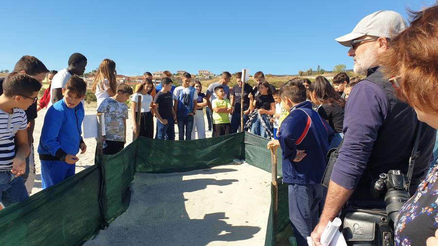 images Lezione di ecologia, gli alunni dell’I.C. Badolato alla scoperta delle tartarughe “Caretta Caretta” 