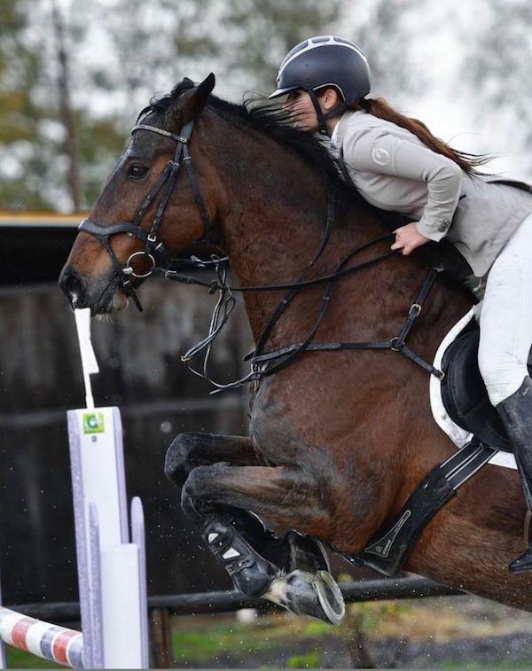 Calabria dominatrice ai Campionati centro meridionali di Atina di salto ad ostacoli images Calabria dominatrice ai Campionati centro meridionali di Atina di salto ad ostacoli