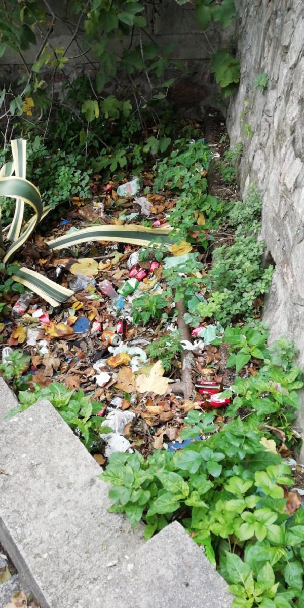 Catanzaro, le scale di Santa Maria del Mezzogiorno di nuovo sporche e al buio images Catanzaro, le scale di Santa Maria del Mezzogiorno di nuovo sporche e al buio