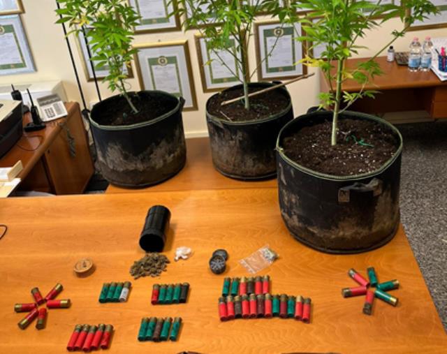 images Tropea, droga e munizioni nel ristorante: titolare denunciato e locale chiuso