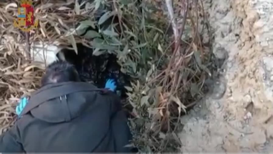 images Blitz antimafia nel Crotonese: il controllo della cosca Corigliano-Comito a Manhattan