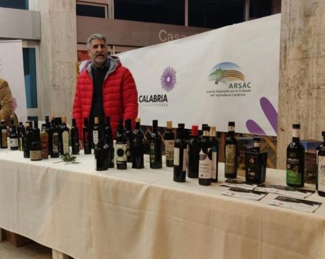 images La campagna olearia 202272023 regala alla Calabria 29 presidi Slow Food degli olivi secolari