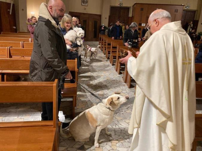 images Catanzaro, alla Parrocchia di San Pio X la benedizione degli animali nel giorno di S. Antonio Abate