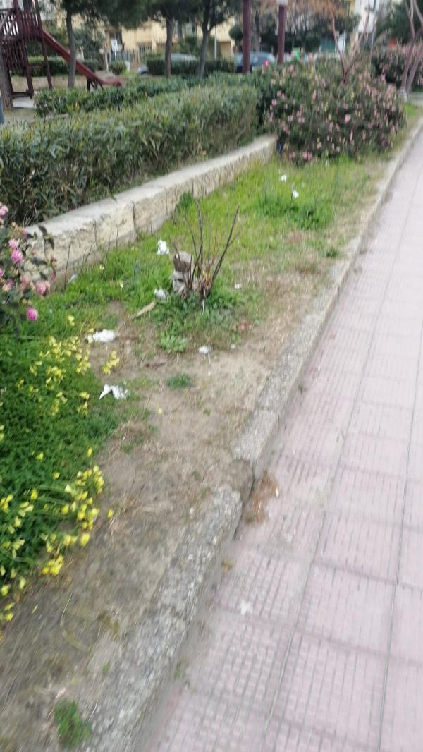 Verde pubblico a Catanzaro, Catania (Socialisti): "Il sindaco istituisca una task force" images Verde pubblico a Catanzaro, Catania (Socialisti): "Il sindaco istituisca una task force"