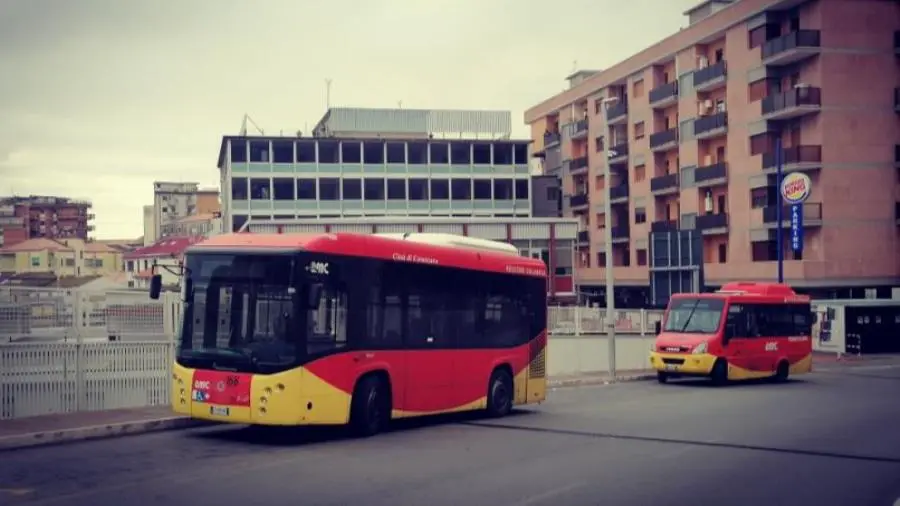 Amc, parte la "Linea Scolacium": tappa al Parco Archeologico fino all'orario di chiusura images Amc, parte la "Linea Scolacium": tappa al Parco Archeologico fino all'orario di chiusura