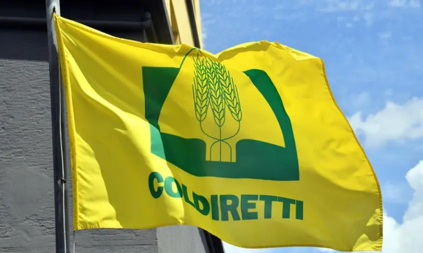 images Coldiretti Calabria: condanna e solidarietà a Patrizia Rodi per il vile atto vandalico subito
