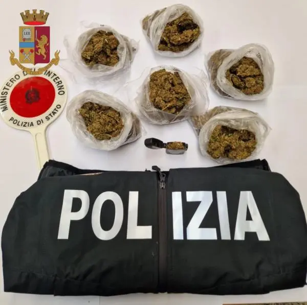 images Vibo, nascondeva 3 etti di marijuana nello zaino: arrestato  