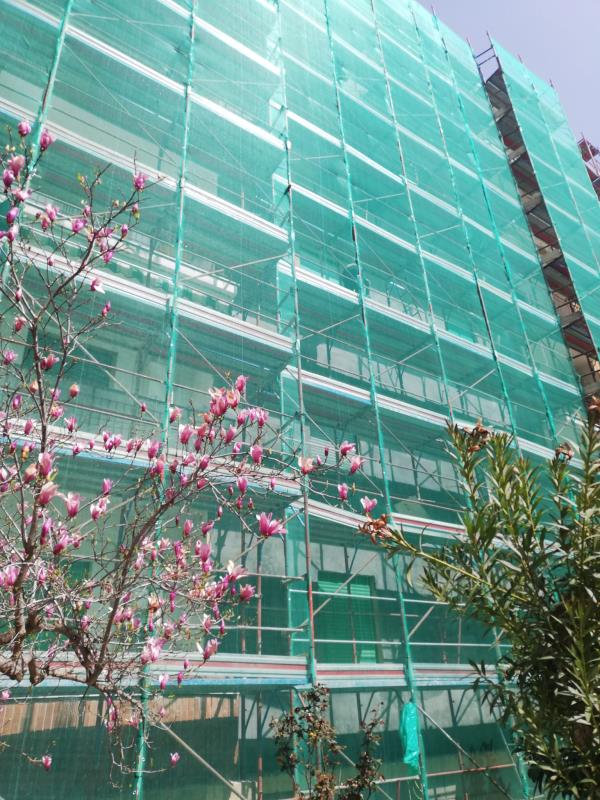 images Nuovo Superbonus: aspetti tecnici, economici e sociali