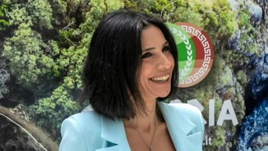 images Al via formazione sui rischi per cause naturali e antropiche del territorio calabrese, Princi: "La vera prevenzione deve partire dalla scuola"