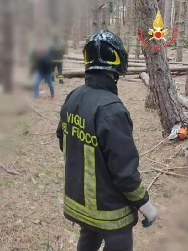 Giovane boscaiolo travolto e ucciso nel Cosentino da un albero abbattuto images Giovane boscaiolo travolto e ucciso nel Cosentino da un albero abbattuto