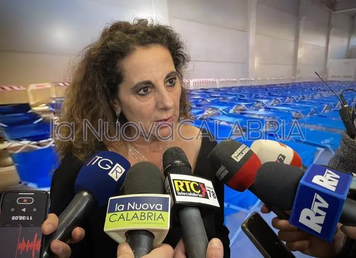 images Emergenza migranti, Wanda Ferro risponde a Conte: "A differenza sua, questo Governo ascolta i cittadini" 
