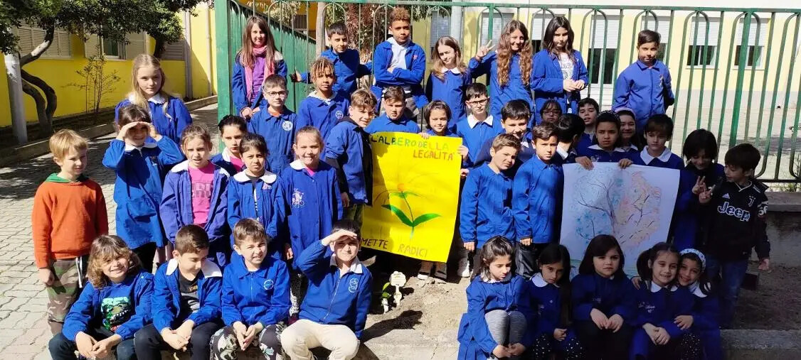 images "Un albero per il futuro": anche l'I.C. "Campanella" di Badolato ha piantumato il ficus della legalità