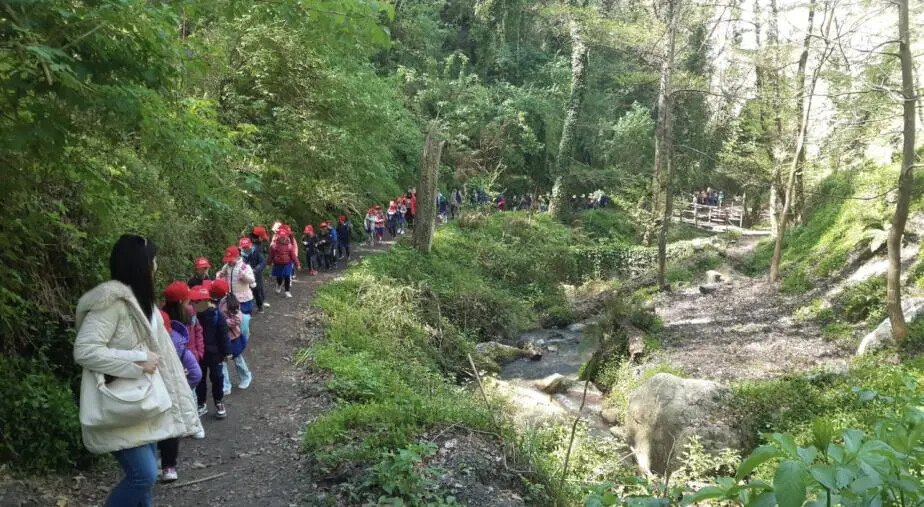 "Mille gru per la fata Gelsomina": i bimbi dell’I.C. Ardito-Don Bosco di Lamezia in visita al Mulino delle Fate images "Mille gru per la fata Gelsomina": i bimbi dell’I.C. Ardito-Don Bosco di Lamezia in visita al Mulino delle Fate
