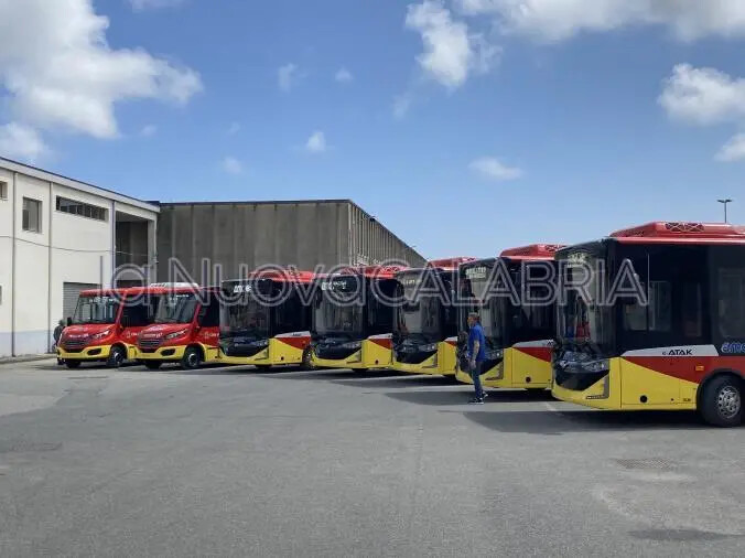 Catanzaro, la semestrale dell'Amc: perdita da 129 mila euro images Catanzaro, la semestrale dell'Amc: perdita da 129 mila euro