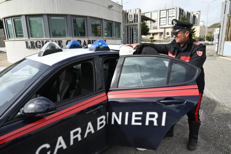 Prostituzione nel centro di Catanzaro: scattano i domiciliari per l’aspirante sfruttatore  images Prostituzione nel centro di Catanzaro: scattano i domiciliari per l’aspirante sfruttatore