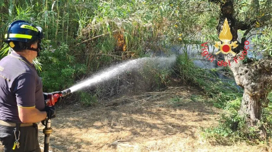 images Calabria in fiamme: 2500 gli interventi in un luglio di fuoco 