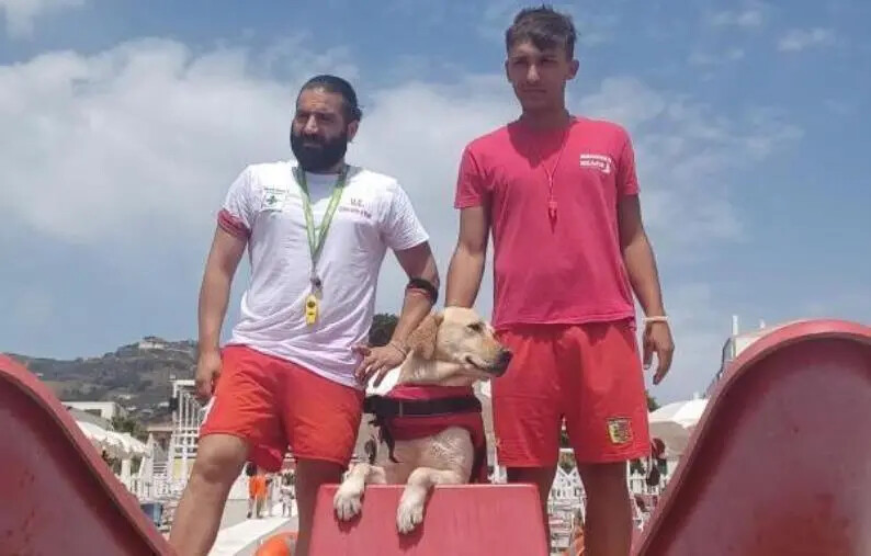 Spiaggia Sicura, plauso dal Comune all'Unità Cinofila di Salvataggio Anpas Croce Verde Catanzaro images Spiaggia Sicura, plauso dal Comune all'Unità Cinofila di Salvataggio Anpas Croce Verde Catanzaro