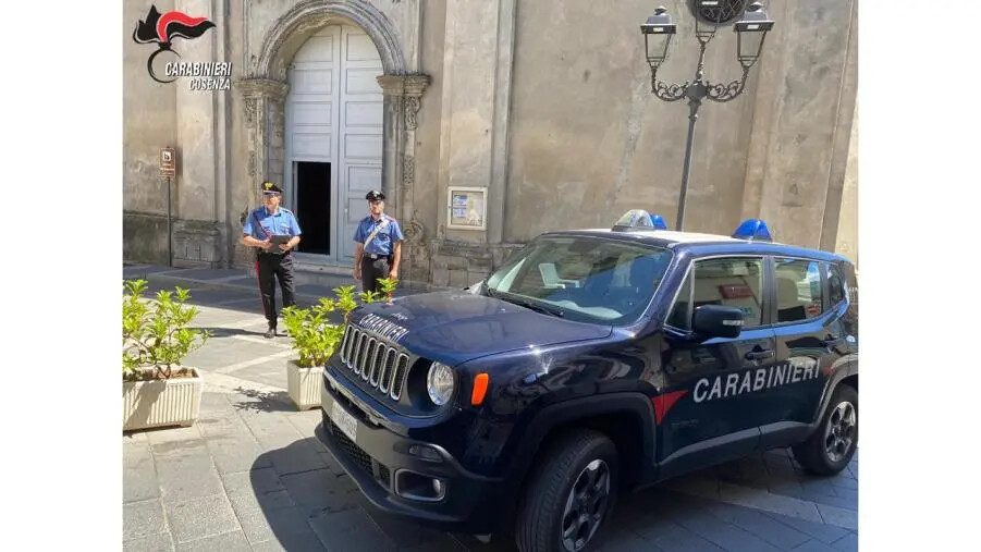images Coltiva un centinaio di piante di canapa: arrestato a Rende un 51enne