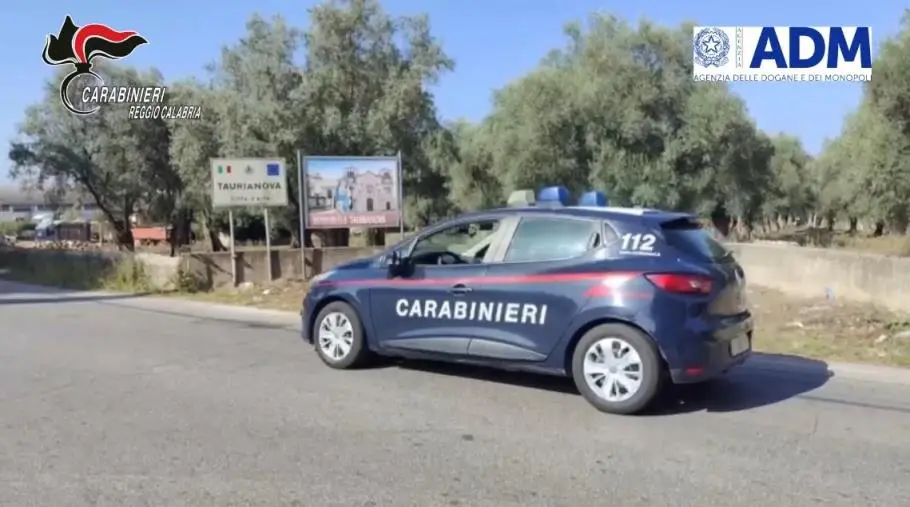 Reggio Calabria, tre denunce per reati ambientali tra Mosorrofa e Cataforio