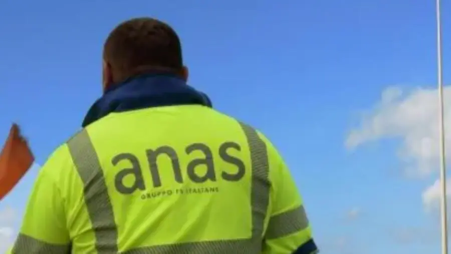 Vagava sul ciglio della SS 106 a Belcastro, cucciolo di cane salvato da una squadra Anas images Vagava sul ciglio della SS 106 a Belcastro, cucciolo di cane salvato da una squadra Anas