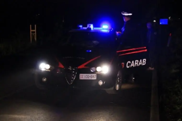 images Incidente sulla statale 106: scontro con un cinghiale nei pressi di Sant'Andrea