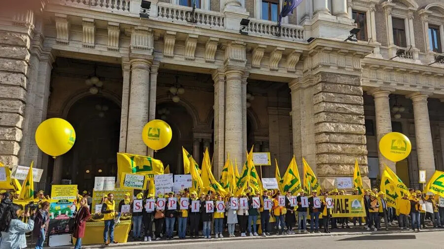 Coldiretti, obiettivo UE: domani 1 febbraio gli agricoltori calabresi manifestano a Bruxelles contro le schizofrenie europee images Coldiretti, obiettivo UE: domani 1 febbraio gli agricoltori calabresi manifestano a Bruxelles contro le schizofrenie europee