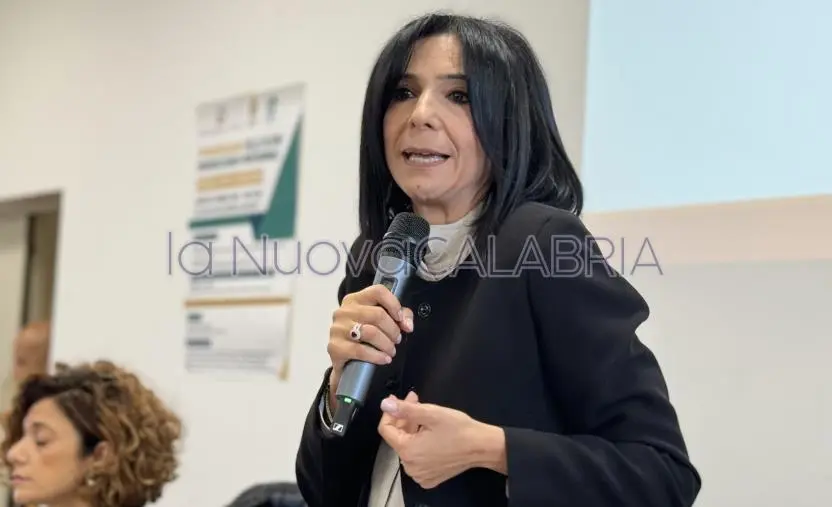 images Aggressioni nelle scuole, la vicepresidente Princi incontrerà il docente di San Sperato Cardeto