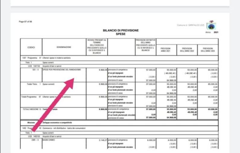 Girifalco. La denuncia dell’associazione 'A 4 zampe': “Il Comune dà 65 mila euro al canile 'Mr. Dog', a noi niente” images Girifalco. La denuncia dell’associazione 'A 4 zampe': “Il Comune dà 65 mila euro al canile 'Mr. Dog', a noi niente”
