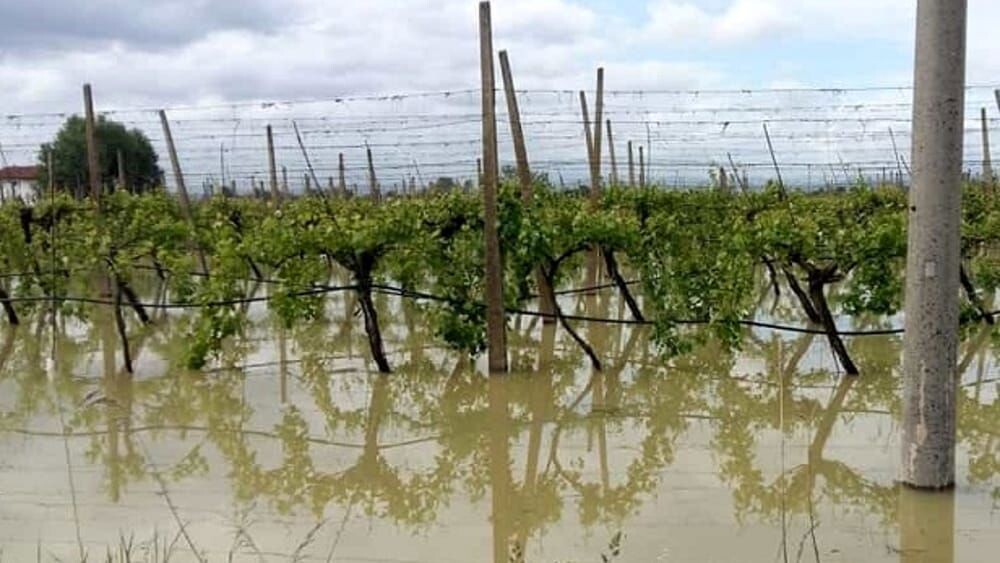 images Agricoltura, approvata declaratoria calamità naturale Ciclone Harry e Nils