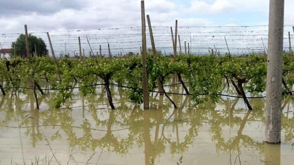 Agricoltura, approvata declaratoria calamità naturale Ciclone Harry e Nils