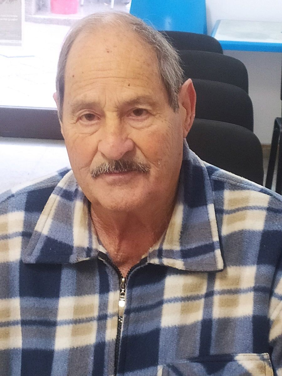 images Vincenzo Ursini: "Giuseppe Sinopoli, l'artista poliedrico di Petrizzi"