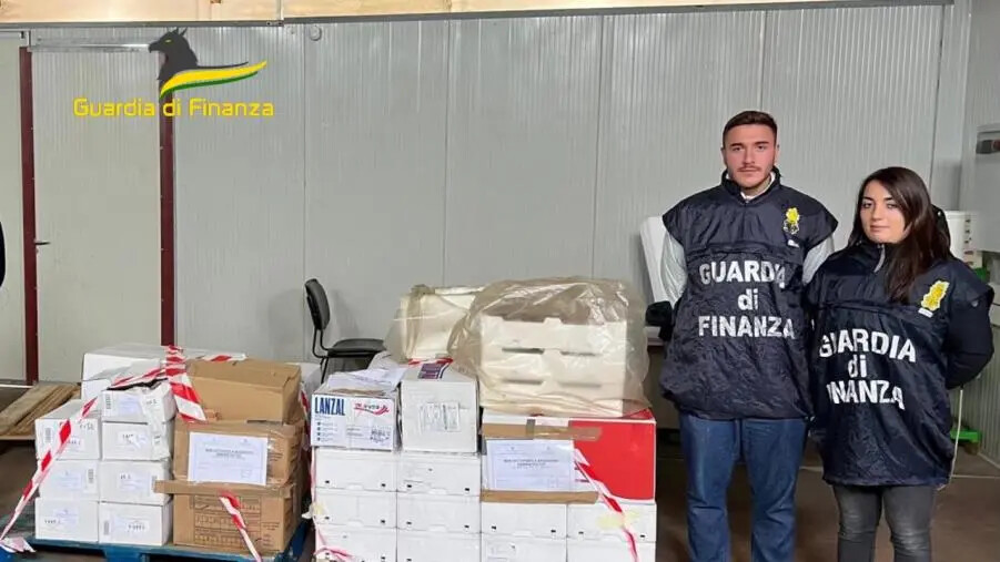 images Crotone, sequestrati  400 kg di prodotti ittici privi di tracciabilità: sanzioni per oltre 8000 euro 